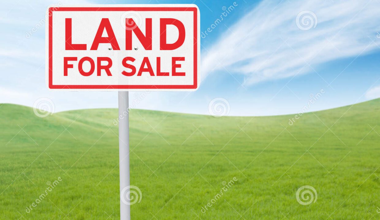 signboard-land-sale-text-real-estate-concept-meadow-under-clear-sky-59648121